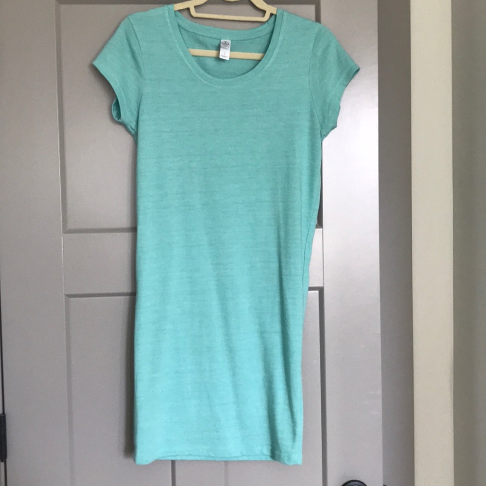 Alternative Apparel t-shirt dress
